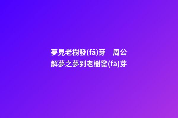 夢見老樹發(fā)芽　周公解夢之夢到老樹發(fā)芽